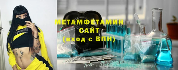 гидра Каменногорск