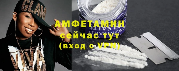 гидра Каменногорск