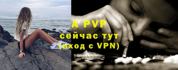 гидра Каменногорск