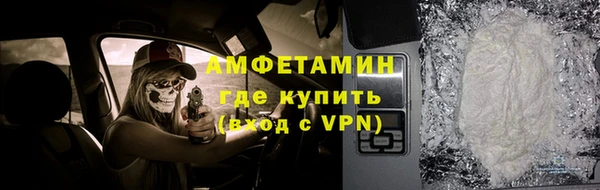 гидра Каменногорск