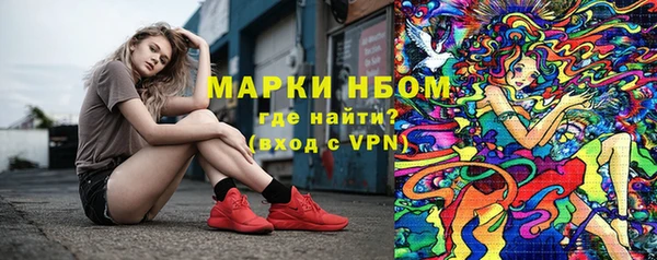 прущий лед Каменка