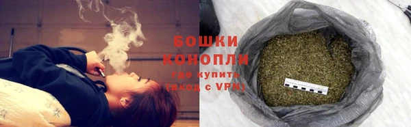 гидра Каменногорск
