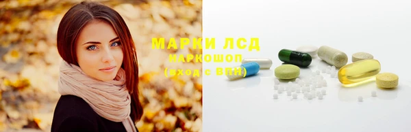 прущий лед Каменка