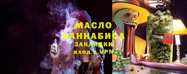 гидра Каменногорск