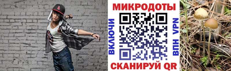 Галлюциногенные грибы Psilocybe  Купить где  Чайковский 